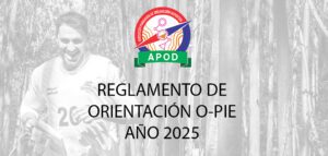 REGLAMENTO CPCO 2025
