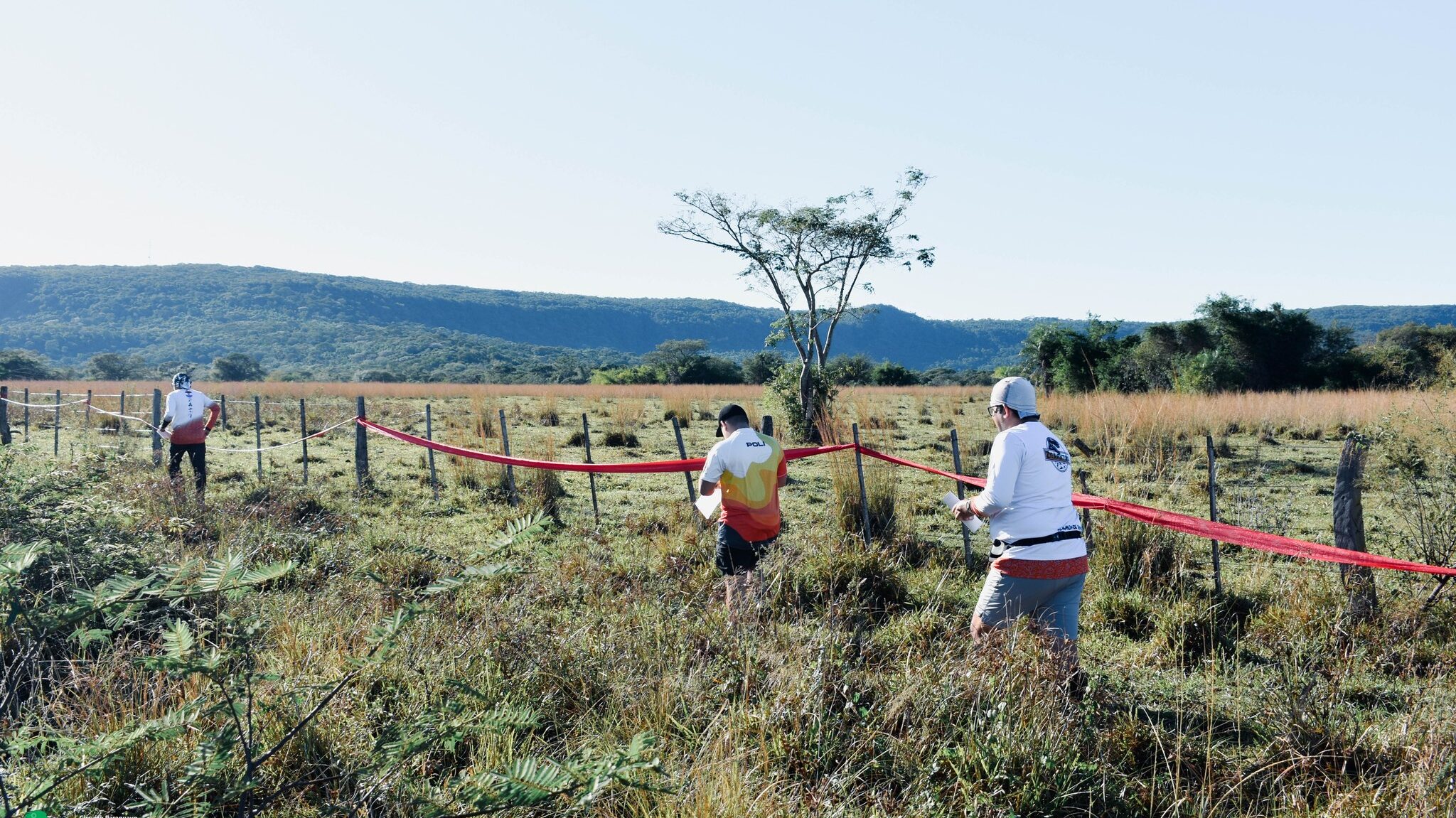 Imagen de Salvaje
